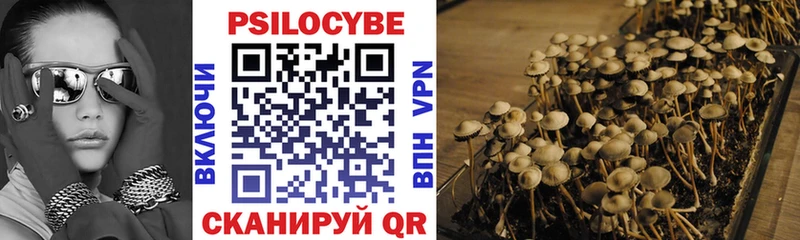 Псилоцибиновые грибы Psilocybe  Купить где  Обнинск 